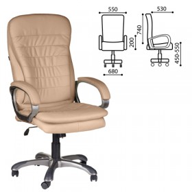 Кресло офисное BRABIX Omega EX-589 в Электростали - ehlektrostal.katalogmebeli.com | фото